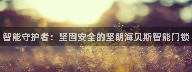 利记手机官网银河网：智能守护者：坚固安全的坚朗海贝斯智能门锁