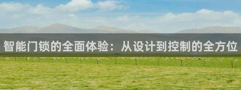 利记手机官网电子mg官方网站:智能门锁的全面体验:从设计到控