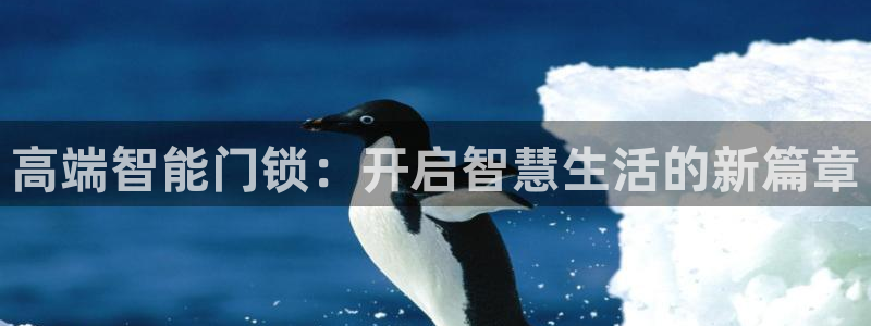 利记游戏开户ysb体育官方官网：高端智能门锁：开启智慧生活的