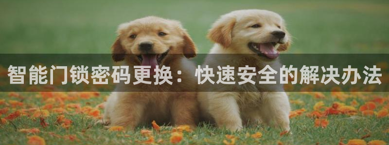 利记app官网真人游戏：智能门锁密码更换：快速安全的解决办法