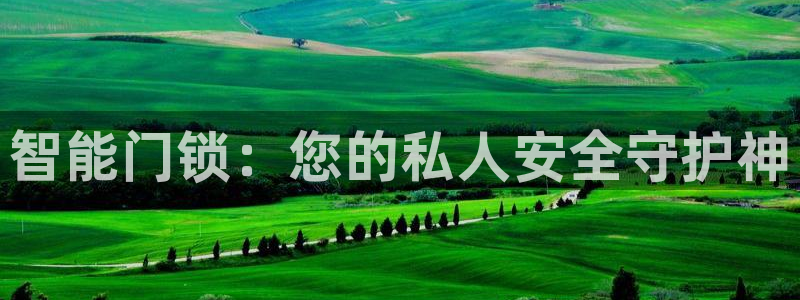 利记体育平台官网：智能门锁：您的私人安全守护神