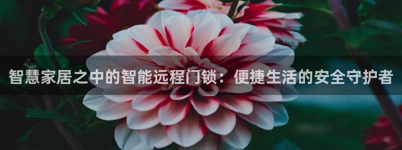 利记官网：智慧家居之中的智能远程门锁：便捷生活的安全守护者