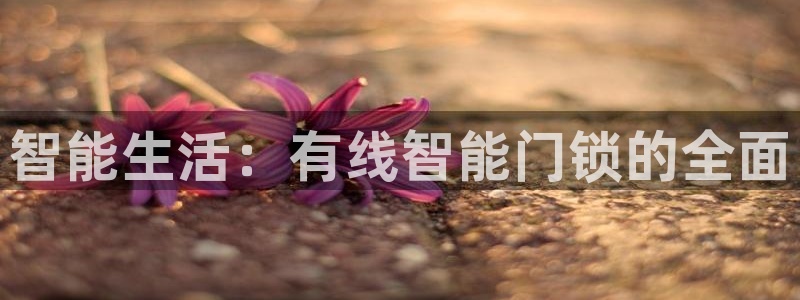 利记手机官网bb电子平台官方：智能生活：有线智能门锁的全面