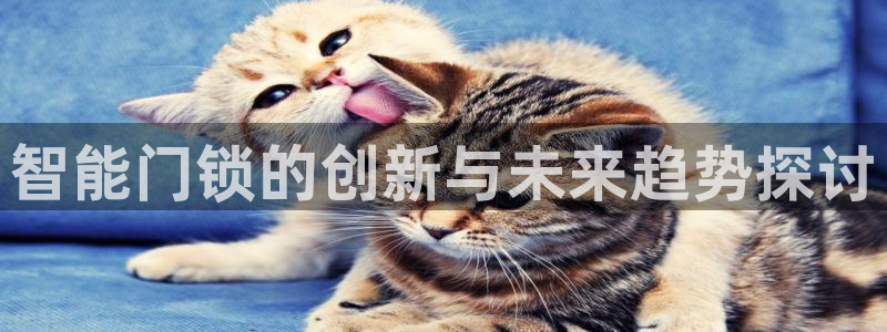 利记官网官方网站：智能门锁的创新与未来趋势探讨
