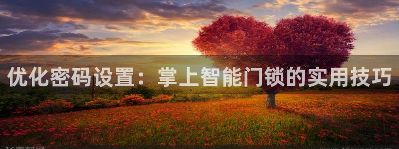 澳博官网app利记网址：优化密码设置：掌上智能门锁的实用技巧