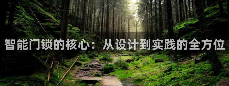 利记体育平台官网：智能门锁的核心：从设计到实践的全方位