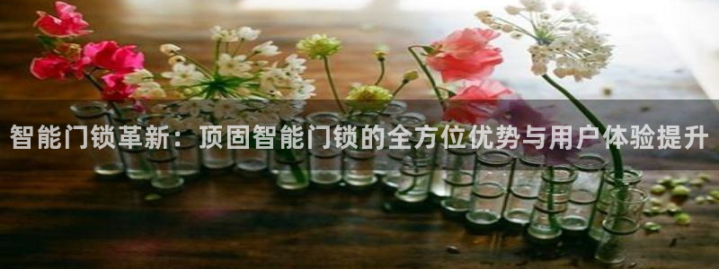 利记的官网：智能门锁革新：顶固智能门锁的全方位优势与用户体验