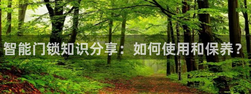 利记官网：智能门锁知识分享：如何使用和保养？