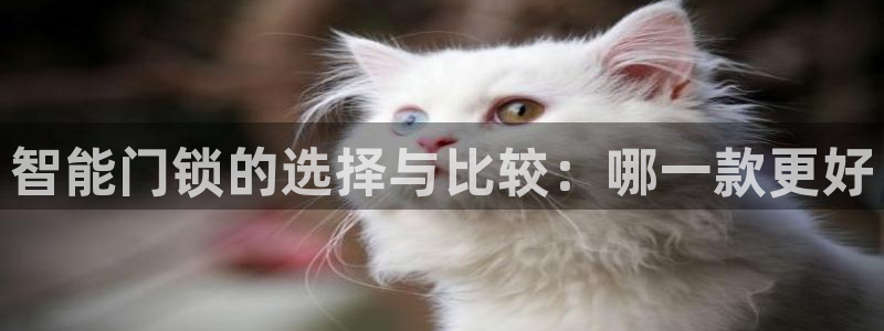 利记娱乐网官网：智能门锁的选择与比较：哪一款更好