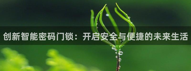 利记博彩官网APP：创新智能密码门锁：开启安全与便捷的未来生