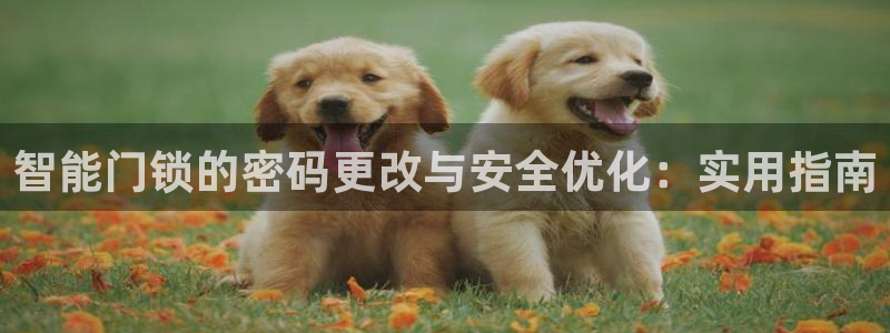 利记的官网：智能门锁的密码更改与安全优化：实用指南