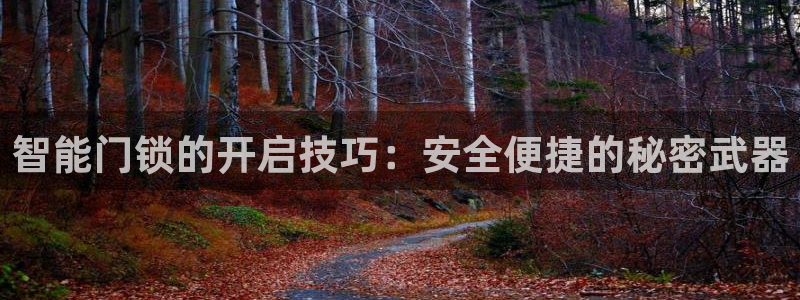 利记手机官网银河网：智能门锁的开启技巧：安全便捷的秘密武器