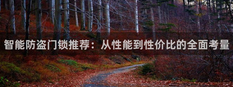 新利记官网：智能防盗门锁推荐：从性能到性价比的全面考量