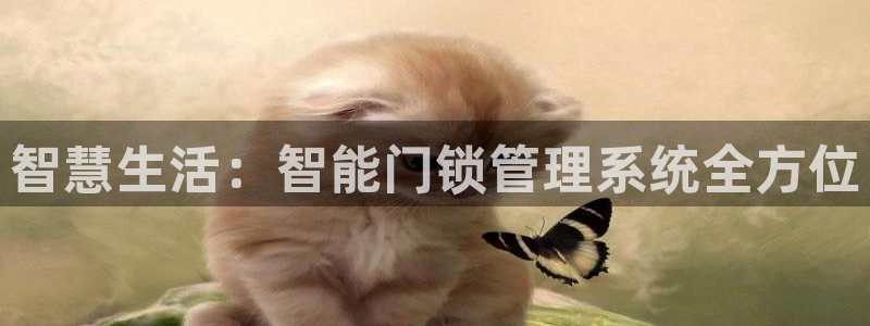 利记官网备用网址：智慧生活：智能门锁管理系统全方位