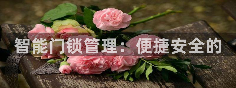 利记彩票平台官网