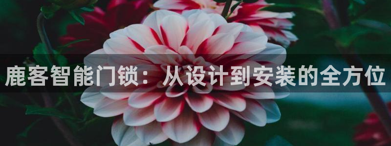 利记彩票官网wx678 com：鹿客智能门锁：从设计到安装的