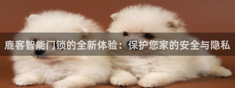 利记官网入口最新版：鹿客智能门锁的全新体验：保护您家的安全与