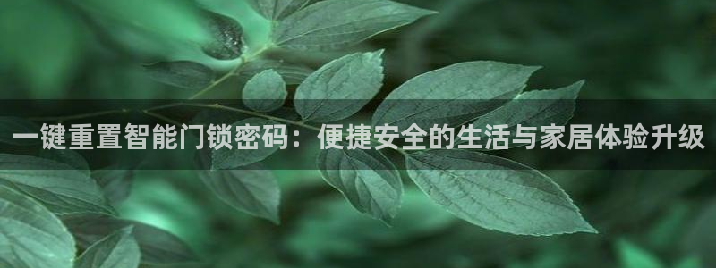 利记官网官方网站：一键重置智能门锁密码：便捷安全的生活与家居