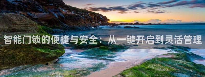 利记二手车行官网：智能门锁的便捷与安全：从一键开启到灵活管理