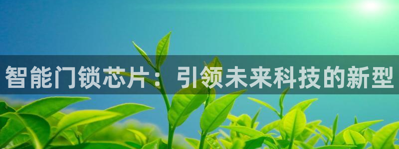 sbobet利记官网登录入口：智能门锁芯片：引领未来科技的新