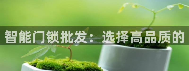利记广告联盟官网：智能门锁批发：选择高品质的