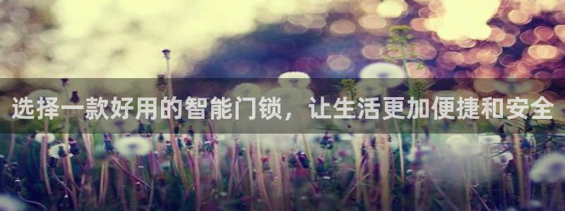 利记官网注册网：选择一款好用的智能门锁，让生活更加便捷和安全