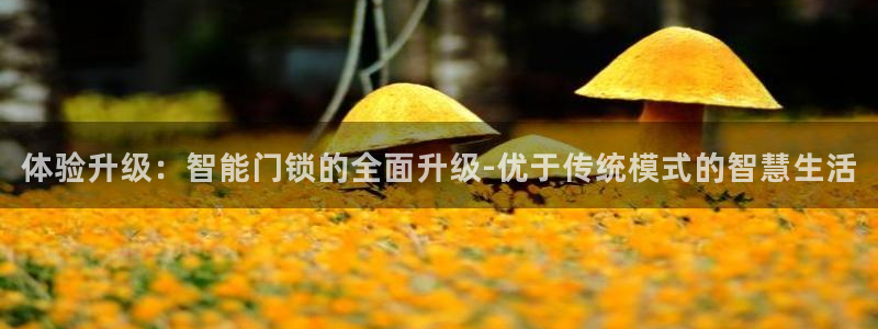 利记游戏官网：体验升级：智能门锁的全面升级-优于传统模式的智