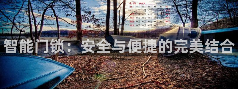 sbobet利记官网登录入口：智能门锁：安全与便捷的完美结合