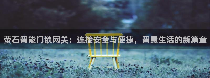 利记娱乐网唯一官网：萤石智能门锁网关：连接安全与便捷，智慧生