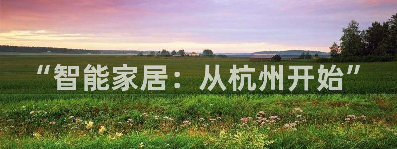 利记官网是多少：“智能家居：从杭州开始”