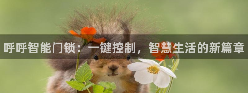 利记坊官网：呼呼智能门锁：一键控制，智慧生活的新篇章