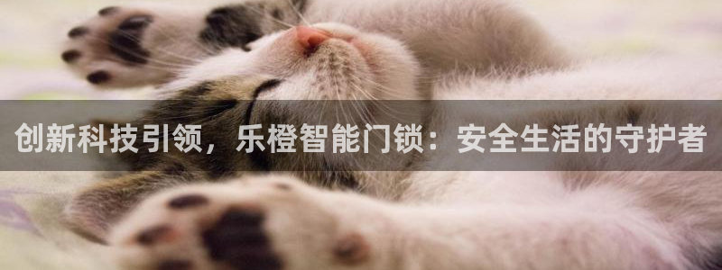 利记官网app：创新科技引领，乐橙智能门锁：安全生活的守护者