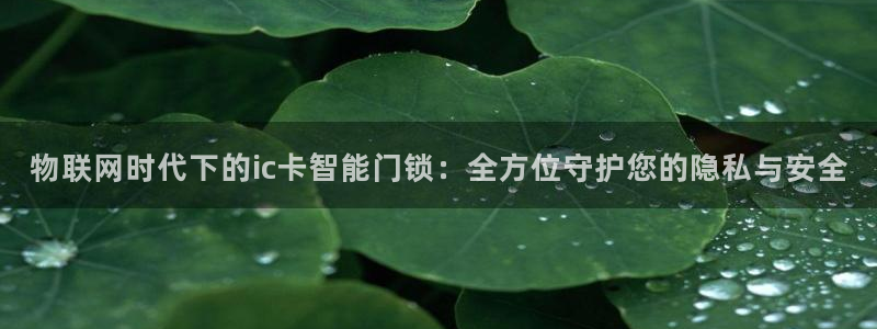 利记买球官网：物联网时代下的ic卡智能门锁：全方位守护您的隐