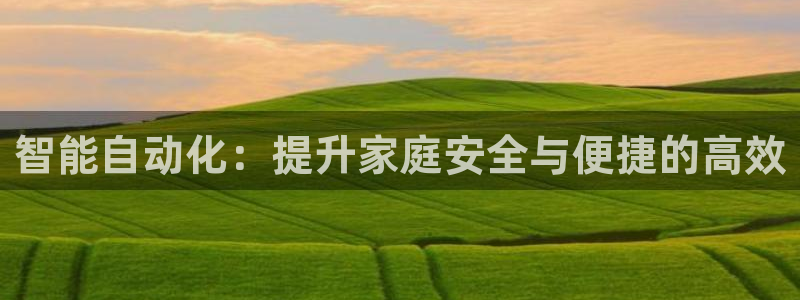 利记官网平台：智能自动化：提升家庭安全与便捷的高效