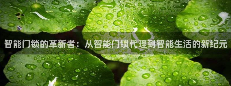 万利记菜单价格查询官网：智能门锁的革新者：从智能门锁代理到智