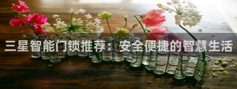 sbotop利记官网：三星智能门锁推荐：安全便捷的智慧生活