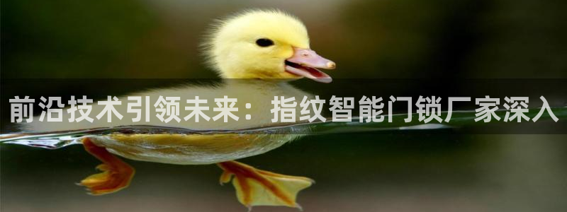 利记官网：前沿技术引领未来：指纹智能门锁厂家深入