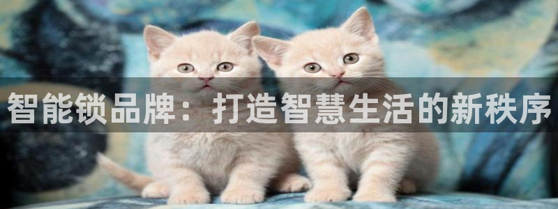 利记官网葡京投注网址：智能锁品牌：打造智慧生活的新秩序