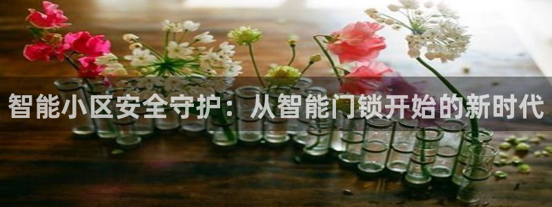 利记彩票网网址官网hd71：智能小区安全守护：从智能门锁开始