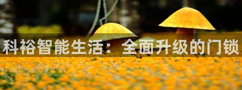 利记app官网真人游戏：科裕智能生活：全面升级的门锁