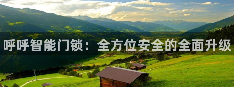 利记博彩官网APP：呼呼智能门锁：全方位安全的全面升级