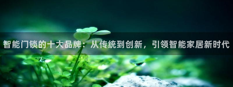 利记网址注册官网：智能门锁的十大品牌：从传统到创新，引领智能