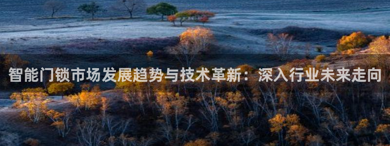 利记官网多少：智能门锁市场发展趋势与技术革新：深入行业未来走
