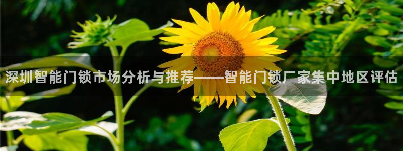 利记彩票官网：深圳智能门锁市场分析与推荐——智能门锁厂家集中