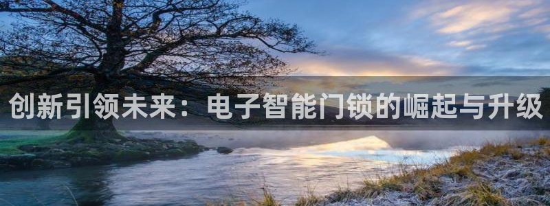 利记官网注册网：创新引领未来：电子智能门锁的崛起与升级