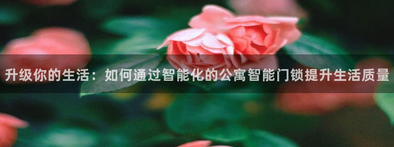 利记平台官网首页：升级你的生活：如何通过智能化的公寓智能门锁