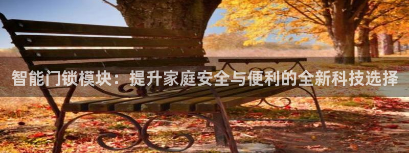 大利来记官网：智能门锁模块：提升家庭安全与便利的全新科技选择