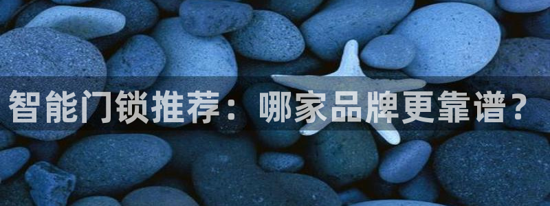 利记彩票官网wx678 com：智能门锁推荐：哪家品牌更靠谱