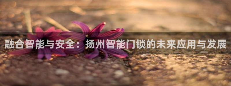 利记官网地址：融合智能与安全：扬州智能门锁的未来应用与发展