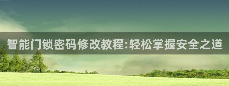 利记坊平台唯一官网：智能门锁密码修改教程:轻松掌握安全之道